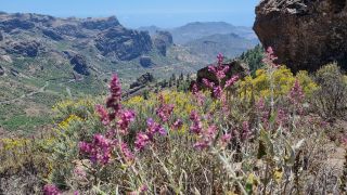 2023-04-GranCan-Roque_Nublo-046.jpg